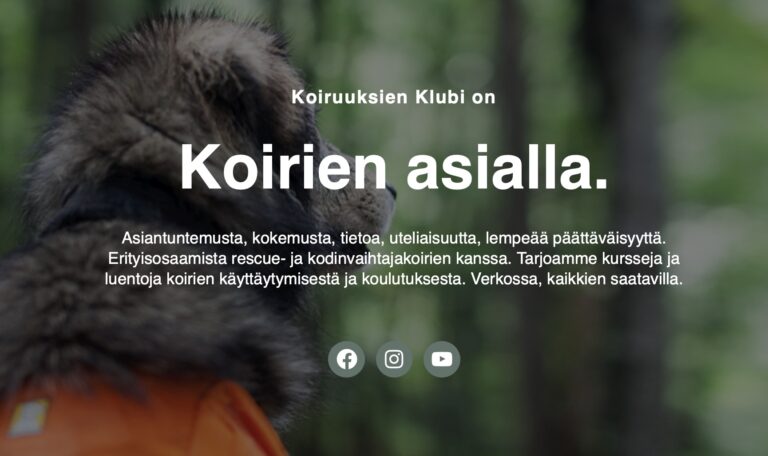Case: Koiruuksienklubi – Pitkäjänteistä lemmikinomistajien koulutusta verkossa